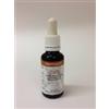 ADAMAH Estratto Idroenzimatico Tarassaco 30ml Gocce
