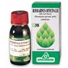 SPECCHIASOL Rosmarino 1 DH Gemme 50ml