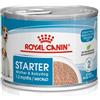 Royal Canin dog starter mother e babydog 195 g