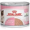 Royal Canin cat mother e babycat instinctive 195 g