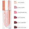 I.C.I.M. (BIONIKE) INTERNATION Defence Color Liplaque Rossetto Volume E Luminosità 604 Cherise BioNike 4,5ml