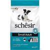 Schesir cane Small Adult Mantenimento ricco in pesce 800 gr