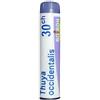 Boiron Thuya Occidentalis Medicinale Omeopatico 30CH, 80 Granuli