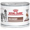 Royal Canin dog&cat veterinary recovery 195 g