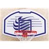 Tabellone Minibasket ovale NBA con canestro e retina
