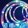 TECNO-NATALE TUBO LUMINOSO 216 LED CONTROLLER MEMORY MULTICOLORE LEDPNE10-LEDX36147