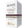 ALCHIMIA BENOIT Srl Benoit Lactobacillus Plantharu