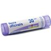 Boiron Sepia Officinalis Medicinale Omeopatico 30ch, 80 Granuli