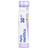 Boiron Apis Mellifica Medicinale Omeopatico 30CH, 80 Granuli
