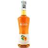Monin Apricot Brandy Albicocca