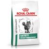 Royal Canin Veterinary Satiety Weight Management per gatto 4 x 6 kg