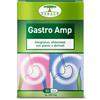 RENACO ITALIA R.I. GROUP Srl Gastro Amp - Integratore alimentare per l'eliminazione dei gas intestinali 30 capsule