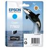 Epson - Cartuccia ink - Ciano - T7602 - C13T76024010 - 25,9ml (unità vendita 1 pz.)