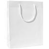 Buste lusso personalizzate di carta plastificata lucida - 24 x 27,5 x 10 cm personalizzate o neutre