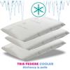 Tris federe COOLER rinfrescante per cuscini 77x47 cm. Federe rinfrescanti per dormire