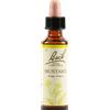 SCHWABE PHARMA ITALIA Srl Mustard Bach Original 20 Ml