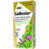 SALUS HAUS GALLEXIER TONICO CARCIOFO250ML