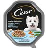 Cesar Scelta dello Chef 150 gr per cani di taglia piccola - Pesce Bianco con Riso Integrale e Verdure Cibo Umido per Cani