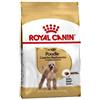 ROYAL CANIN CANE POODLE 30 ADULTO 1,5 KG