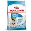 royal canin starter