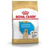 Royal Canin Breed Royal Canin Puppy Labrador Retriever cibo per cane 2 x 12 kg