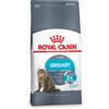 Royal Canin Urinary Care per gatto 2 x 10 kg