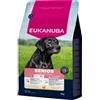 Eukanuba Senior Large pollo per cane 15 kg