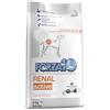 Forza 10 cane renal active 4 kg