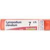 BOIRON Srl Lycopodium Clavatum 7Ch Granuli Multidose Boiron