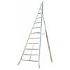 FACAL SCALA ALLUMINIO AGRICOLTURA m 3,0 FACAL