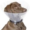 Professionalvet Proficollar collare elisabettiano 30 cm