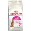 Royal Canin Exigent Protein 400 gr Secco Gatto