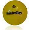 Trial PALLONE MINIVOLLEY