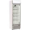 CoolHead Vetrina refrigerata per bibite Modello DC350C