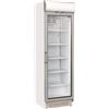 CoolHead Refrigeratore professionale Modello TKG390C