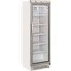 CoolHead Refrigeratore professionale Modello TKG388