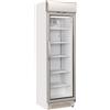 CoolHead Refrigeratore professionale Modello TKG388C Capacità Lt. 350 Temp.°C. 1 / 12 Dim. cm L.59.5 P.63.5 H.196