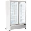 CoolHead Armadio refrigerato Modello RFG1350 porte a vetro Capacità Lt. 1084 Temp.°C. -22 / -18 Dim. cm L.134 P.76 H.204