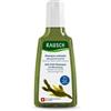 Rausch Shampoo Antisebo Quercia Marina