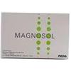 Meda Pharma Magnosol Bustine Effervescente