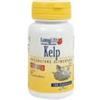 Longlife Kelp Alga Bruna