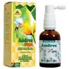 Lemuria Andres Spray