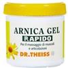 Dr. Theiss Dr Theiss Arnica Gel Rapida