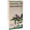 Specchiasol Gemmosol 13 Betulla Linfa