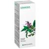 Specchiasol Gemmosol 15 Carpino
