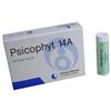 Biogroup Psicophyt Remedy 14a 4 Tubi 1,2g