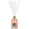 Dr. Vranjes Firenze Bellini
