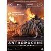 CG Entertainment Antropocene - L'epoca umana