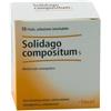 Guna Solidago Compositum s 10 fiale - Rimedio Omeopatico