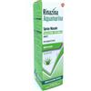 Glaxosmithkline C.health. Rinazina Aquamarina Isotonica Aloe Spray Nebulizzazione Intensa 100 ml